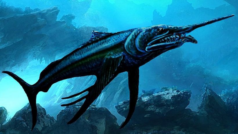 Paleontólogo chileno bautizó a pez prehistórico en honor a Camilo Catrillanca
