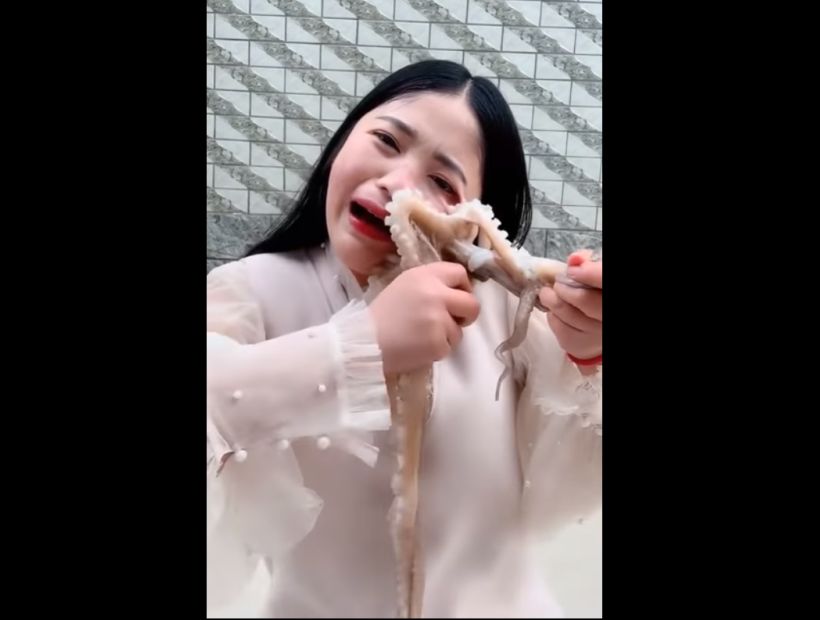[VIRAL] Pulpo se resistió a ser comido por bloguera china durante un livestream