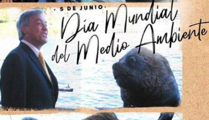 Presidente Piñera recordó ataque de lobo marino para conmemorar el Día Mundial del Medio Ambiente