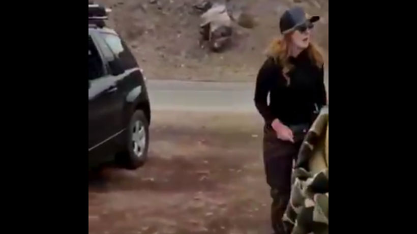 [VIDEO] Catalina Pulido fue detenida tras forcejeo con carabinero por conducir sin cinturón de seguridad