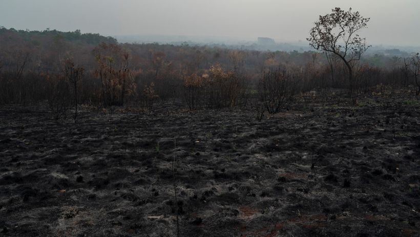 Comienzan a registrarse males respiratorios debido a los incendios en el Amazonas