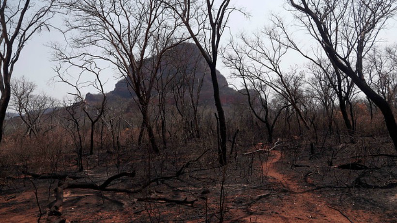 Humo de incendios en la Amazonía está afectando a comunidades en Bolivia