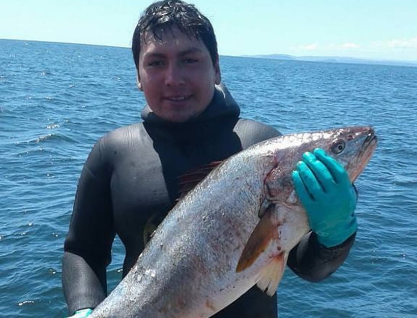 Joven buzo murió en Carelmapu mientras realizaba extracción de mariscos