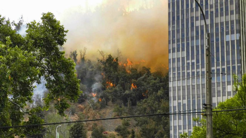 [VIDEO] Incendio afecta ladera sur del Cerro San Cristóbal