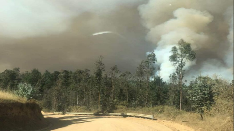 Onemi declaró Alerta Roja para la comuna de Paredones por incendio forestal