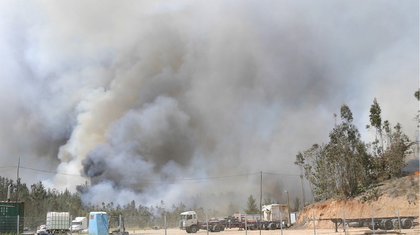Conaf: actualmente hay 11 incendios forestales activos y tres de gravedad