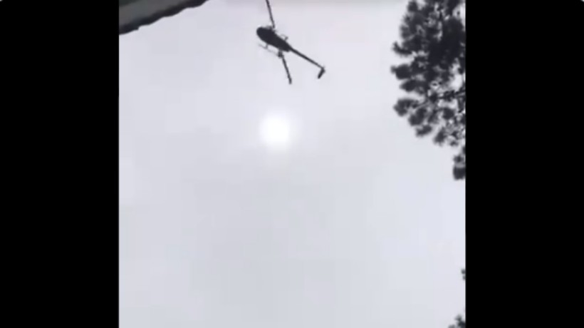 Video de un animal siendo lanzado desde un helicóptero a una piscina generó revuelo en Uruguay
