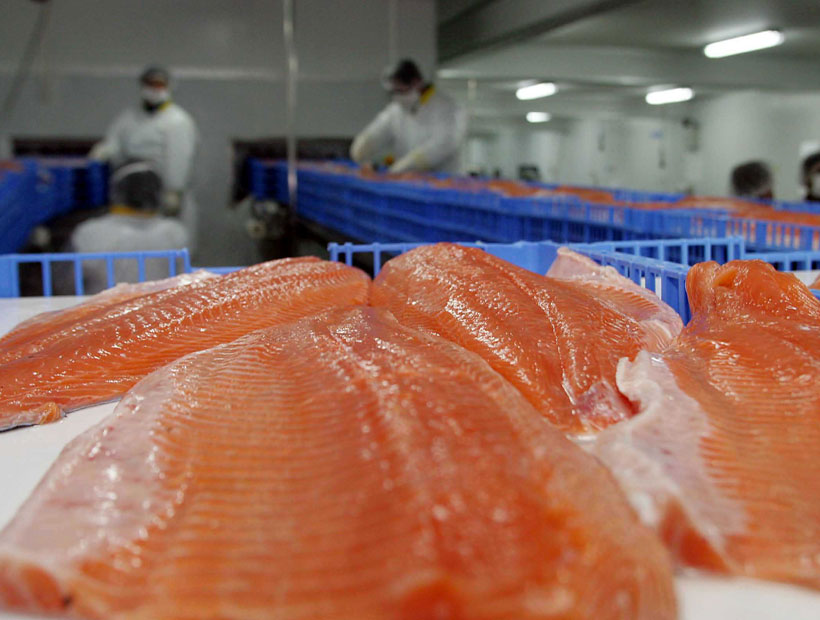Chile suspendió todos los embarques de salmones con destino a China