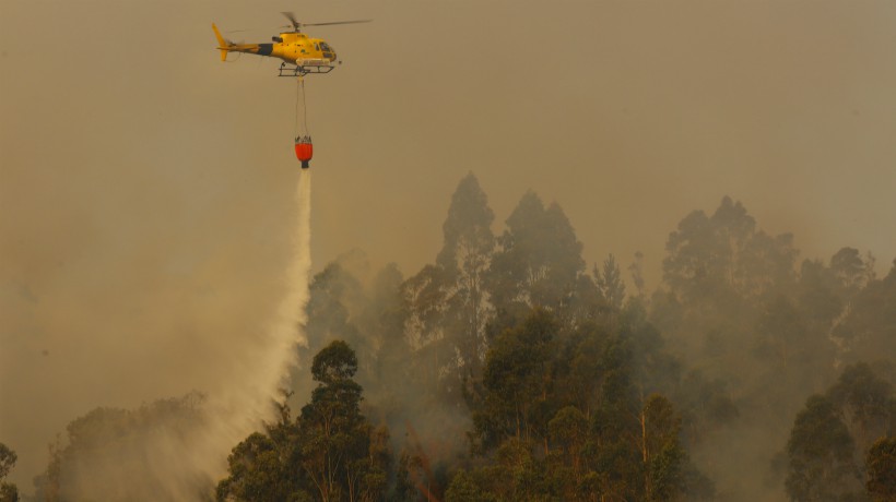 Onemi: existen 13 incendios forestales activos a nivel nacional