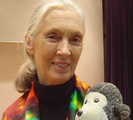 Jane Goodall: 