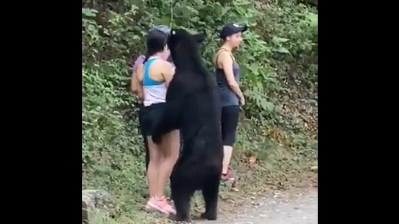 [VIDEO] Nervios de acero: turista se mantuvo tranquila mientras un oso le 