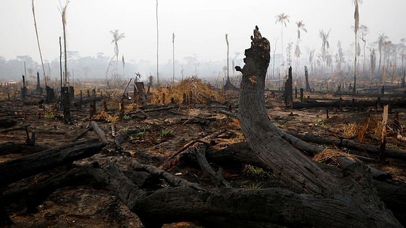 Preocupante alza de incendios en el Amazonas: Brasil registró más de 6 mil focos durante julio