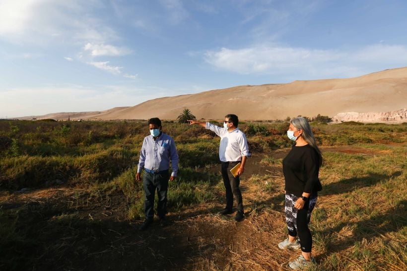Arica: Vecinos del valle de Lluta solicitaron apoyo por instalación de planta fotovoltaica en terreno agrícola