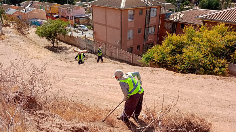 12 mil metros lineales de cortafuegos se ejecutaron en Villa Alemana