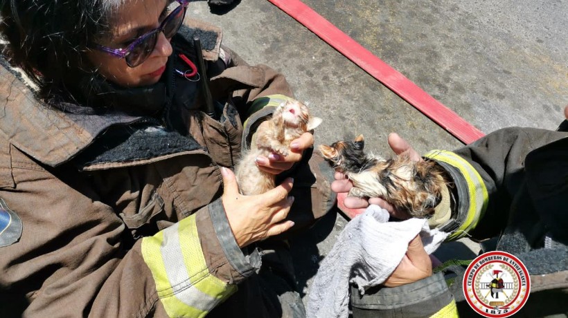 18 adultos y 8 menores resultaron damnificados tras incendio en el sector centro-alto de Antofagasta