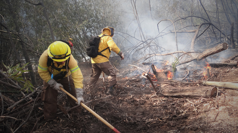 Vecinos de Algarrobo aprenden técnicas para prevenir incendios forestales