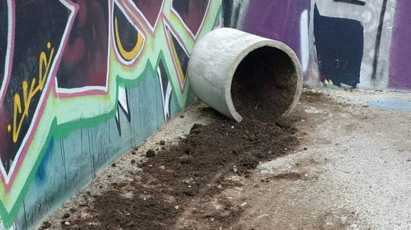 Alcaldesa de Villa Alemana denuncia robo de árboles desde la vía pública