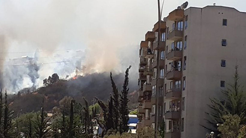 Incendio forestal en Viña del Mar fue extinguido: dejó 4,1 hectáreas afectadas