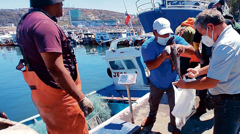 San Antonio: la venta de merluza a $500 el kilo fue un éxito en Puertecito