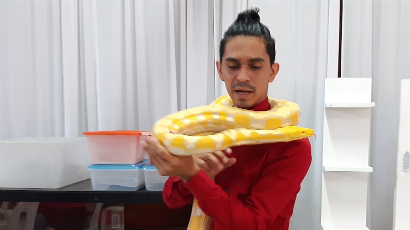 Joven nicaragüense convive con 45 serpientes como mascotas y sueña con hacer su propia exhibición