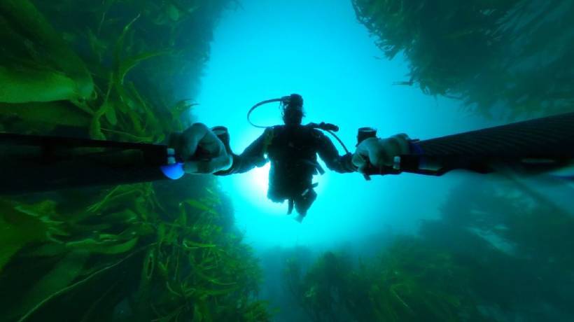 Hoy se estrena “Cultura oceánica 360°”, serie de realidad inmersiva de la Región de Valparaíso