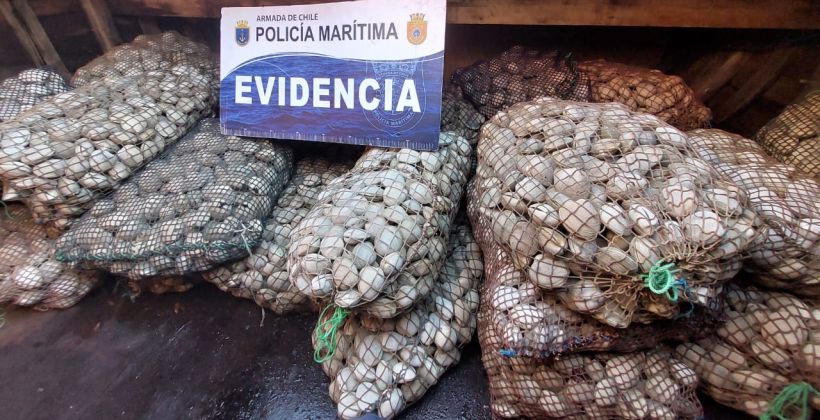 Detectan pesca ilegal de dos naves provenientes de Calbuco
