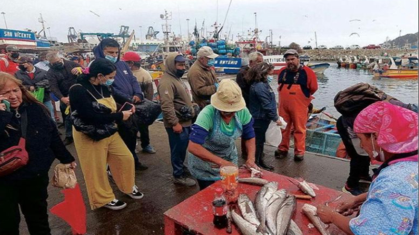Éxito en venta de pescado en la caleta Puertecito: cuentan unos 20 mil kilos de merluza Éxito en venta de pescado en la caleta Puertecito: cuentan unos 20 mil kilos de merluza