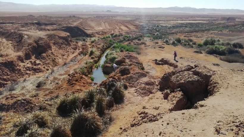 Nuevo Santuario para Antofagasta: Salar del Carmen es oficialmente reconocido como humedal urbano