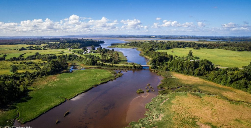 Humedales del Río Maullín son declarados Santuarios de la Naturaleza Humedales del Río Maullín son declarados Santuarios de la Naturaleza