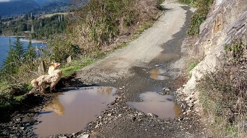 Vecinos de sector Las Gaviotas en Puerto Octay denuncian mal estado de caminos: “Cada invierno se aplican soluciones parche” Vecinos de sector Las Gaviotas en Puerto Octay denuncian mal estado de caminos: “Cada invierno se aplican soluciones parche”