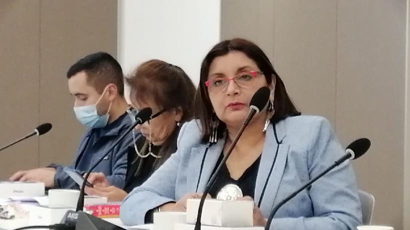 Seremi del Trabajo en La Araucanía: "En un año se han recuperado casi 20 mil empleos formales en la Región"