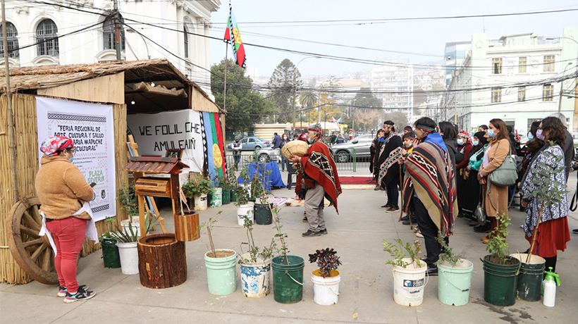 Arte Del Stand - Temu Chile