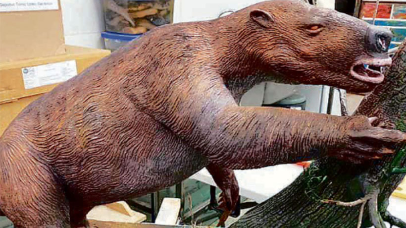 Museo presenta al scelidoterio: El perezoso que vivió hace hace miles de años en San Antonio