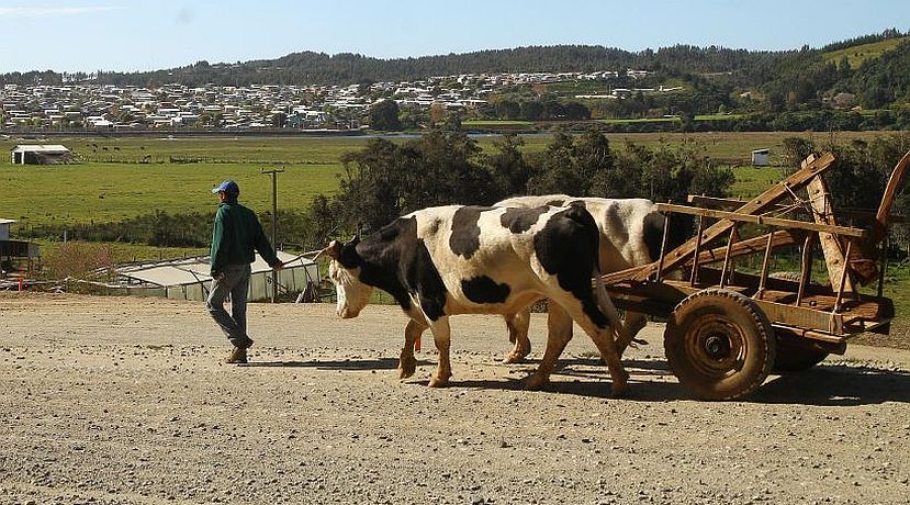 Nueva zona de rezago incluirá a sector rural de Los Ángeles