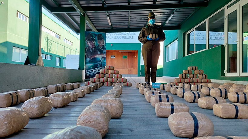 Más de 80 kilos de marihuana fueron incautados en Papudo