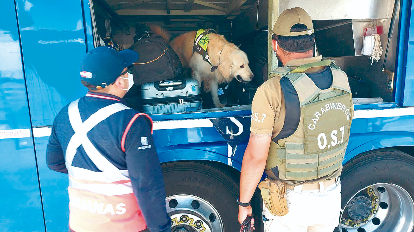 Región de Antofagasta encabeza detenciones por tráfico de drogas en norte del país