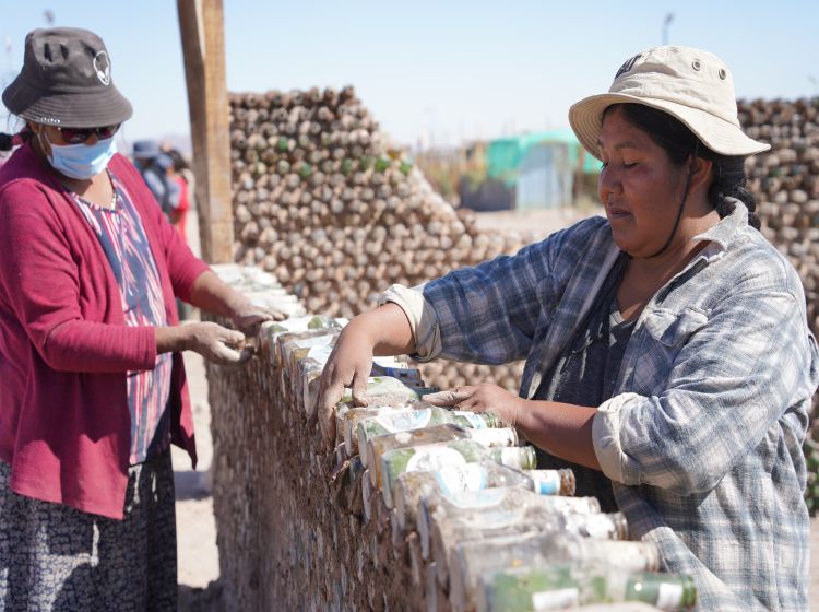 Familias con raíces en Alto El Loa asentadas en Calama construyeron viveros