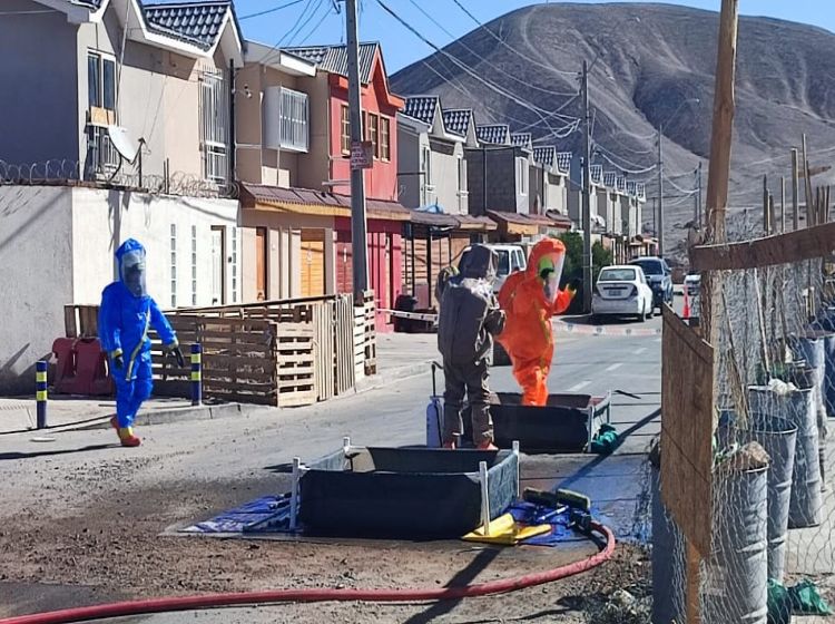 Mujer ingirió cianuro y falleció en el sector poniente de Calama