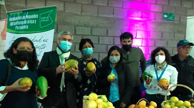 Arica: Apuestan por la agricultura en el desierto para enfrentar el cambio climático