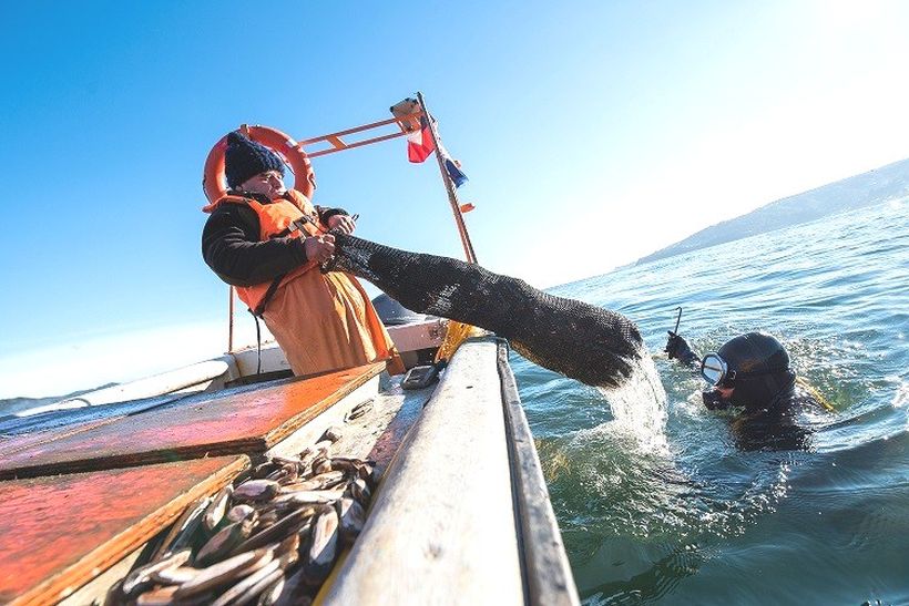 Dirigentes y autoridades celebran la creación del Día de la Pesca Artesanal tras aprobación en el Senado