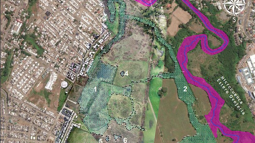 Ingresan expediente para declarar humedal urbano en sector Ovejería de Osorno
