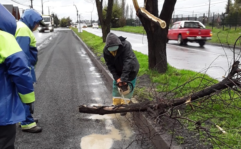 Equipos municipales de Temuco han enfrentado 20 emergencias por fuertes lluvias