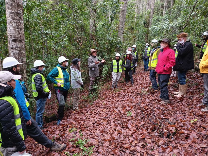 Los Ríos: Comparten experiencias de regeneración y desarrollo del bosque nativo en Lanco