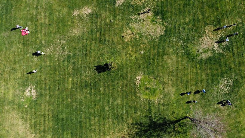 Crean ranking con las comunas capitalinas que tienen más vegetación