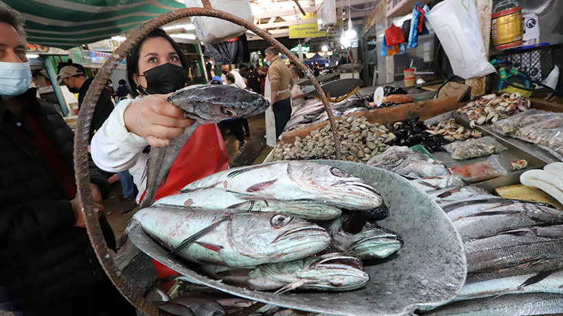 Estudio de metales pesados en los mariscos de la costa de Quintero y  Puchuncaví: no superan los niveles de riesgo para la salud