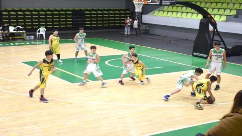 Equipos chilotes de básquetbol obtienen buenos resultados en la Liga Saesa