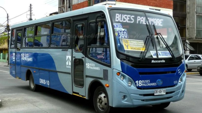 Línea de buses Palomares de Concepción estará suspendida por cinco fines de semana tras sanción