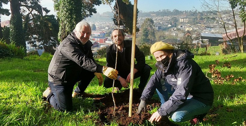 Árboles nativos y frutales fueron plantados en Cerro Calvario en Puerto Varas