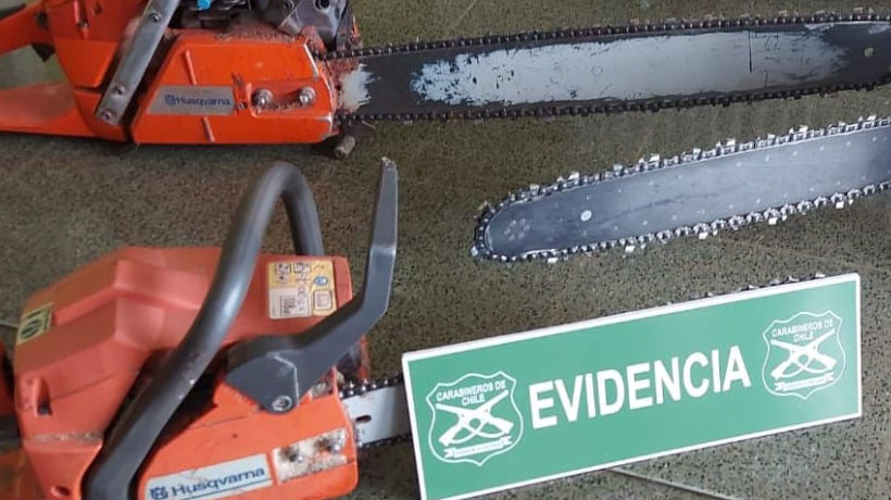 Ladrón de motosierras fue detenido en la provincia de Osorno