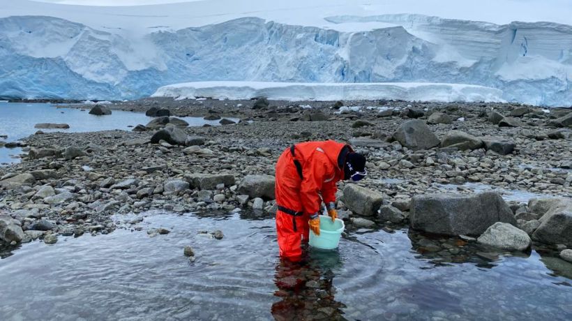 Investigadora local integra proyecto científico en la Antártica